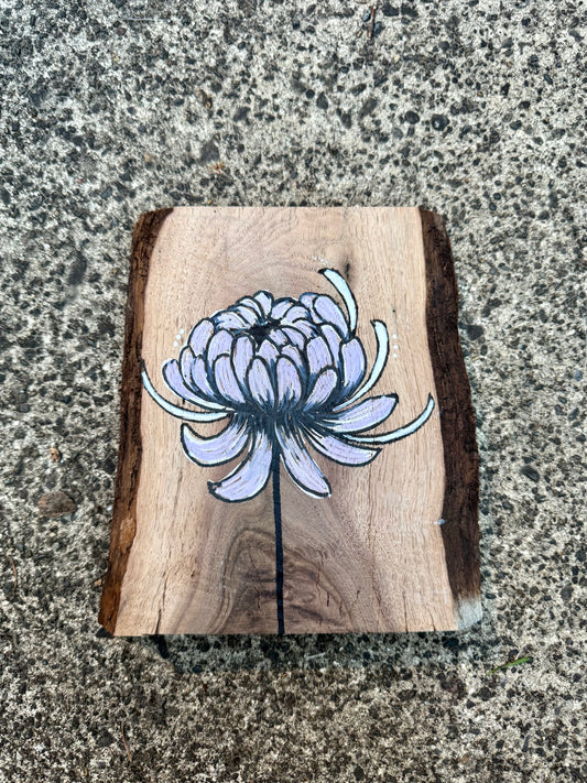 Mini Chrysanthemum - with the trees