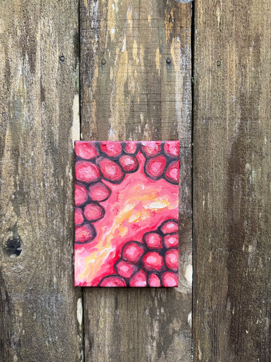 Pomegranate 5x7 Original Oil