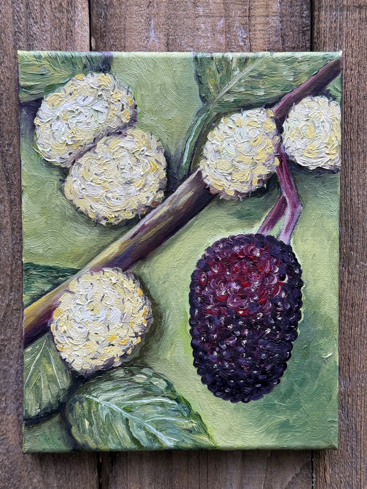 Mulberries Budding Original 8x10