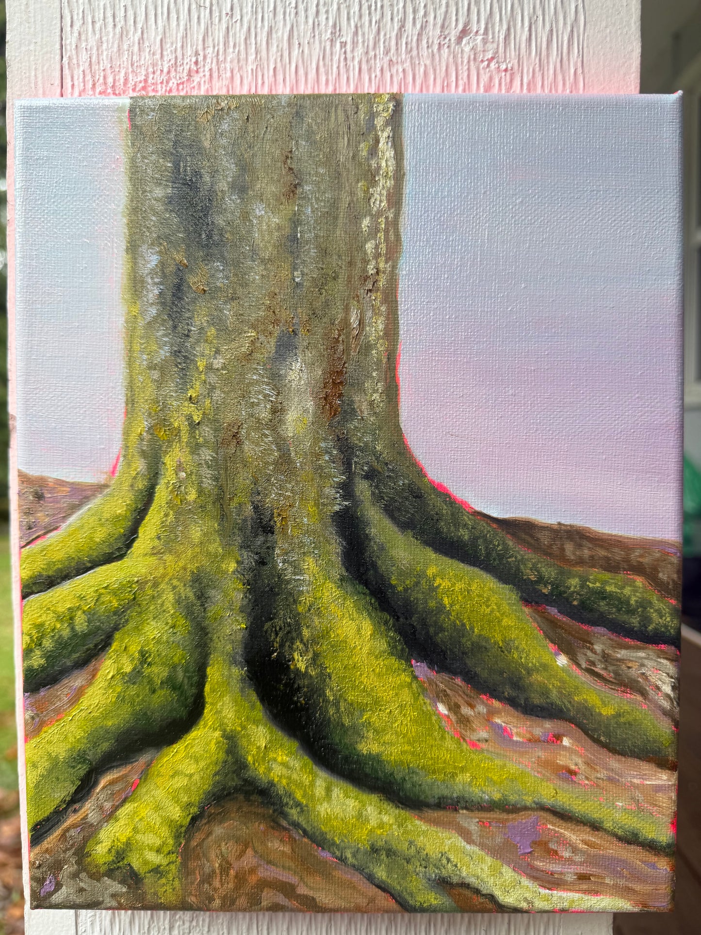 Close-up of a tree trunk with detailed roots on a textured surface
