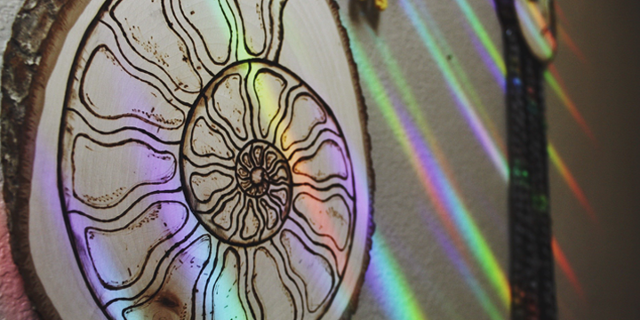 wood burn dream catcher art piece by with the trees